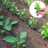 20/50Pcs Hydroponic Soils Planter Grow Baskets Soilless Seed Grow Nursery Pot Starter Hydroponic Soils Seedling Tray Pods Kits