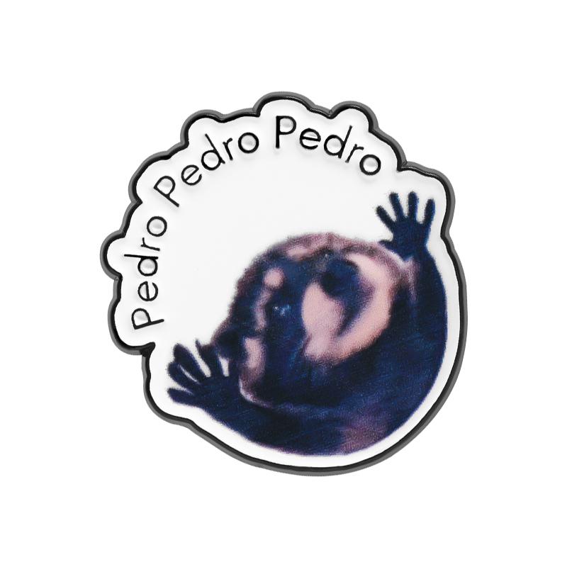 Cat Memes UV Printing Pins Custom Raccon Brooches Lapel Badges Clothes Funny Animal Jewelry Gift for Family Friends