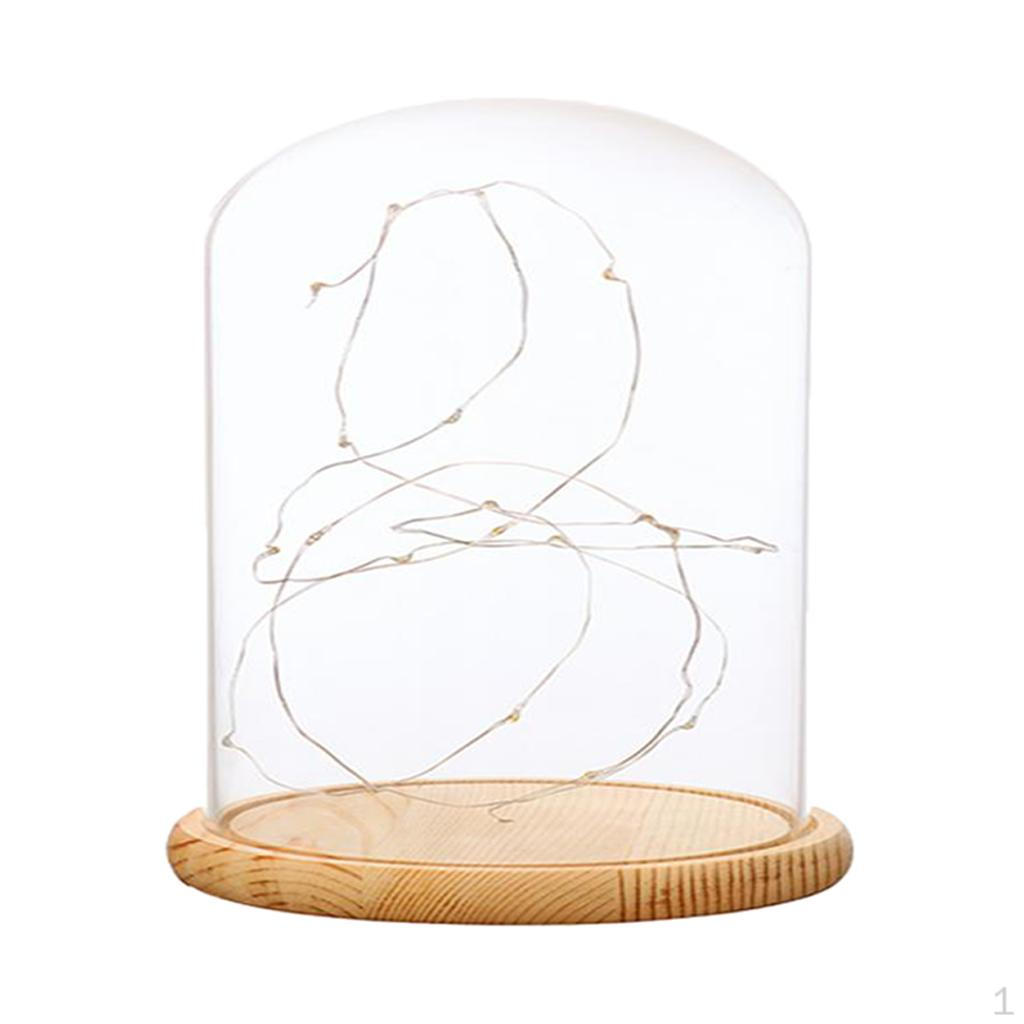 Cloche With Suspended LED Lights Tabletop Lamp Wedding Holiday Decor Crafts