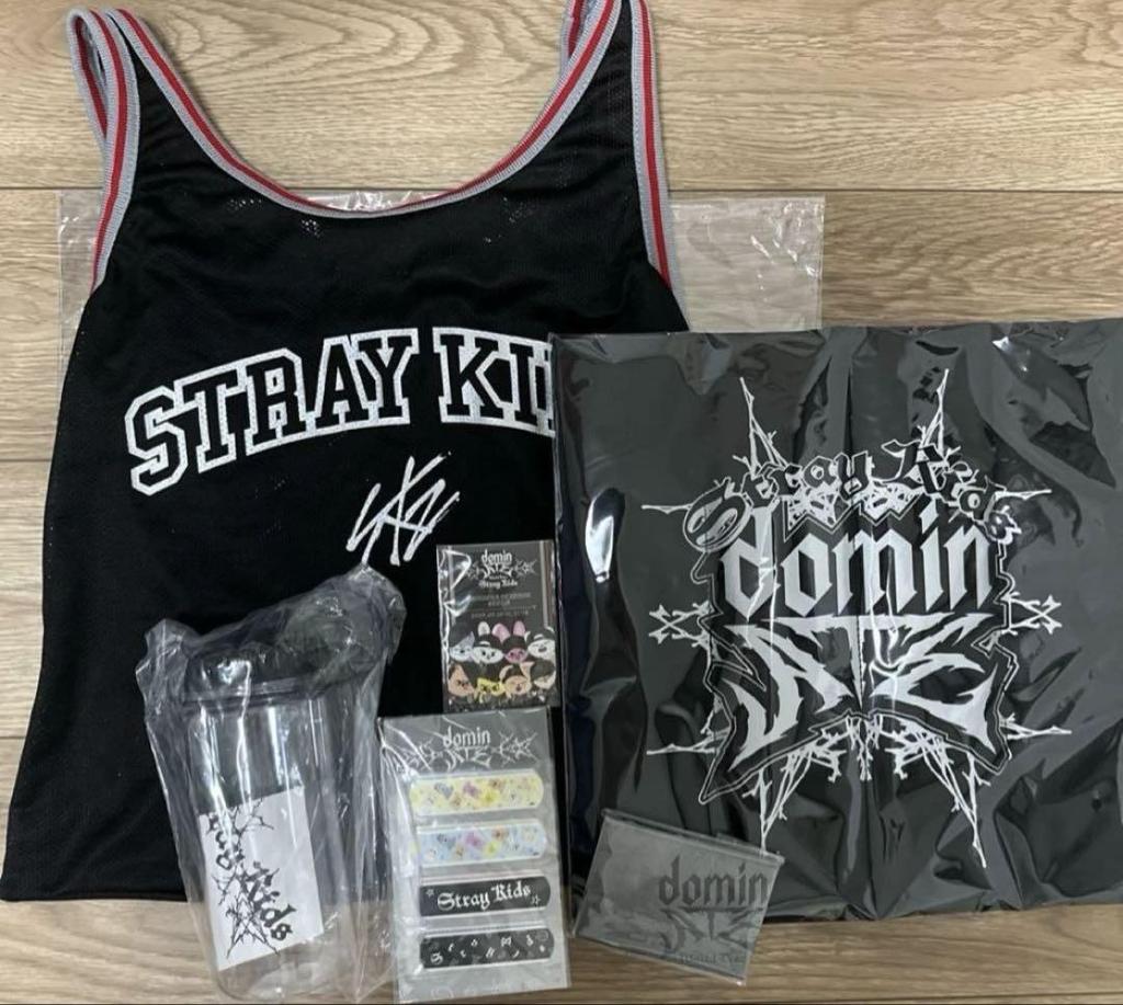 [USED] StrayKids AppGrade Bonus DominATE 2024.2025