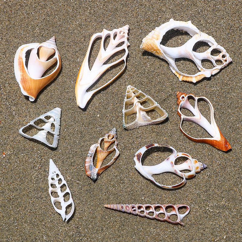 Handmade Natural Seashell Conch & Starfish Frame for DIY Fish Tank or Landscaping