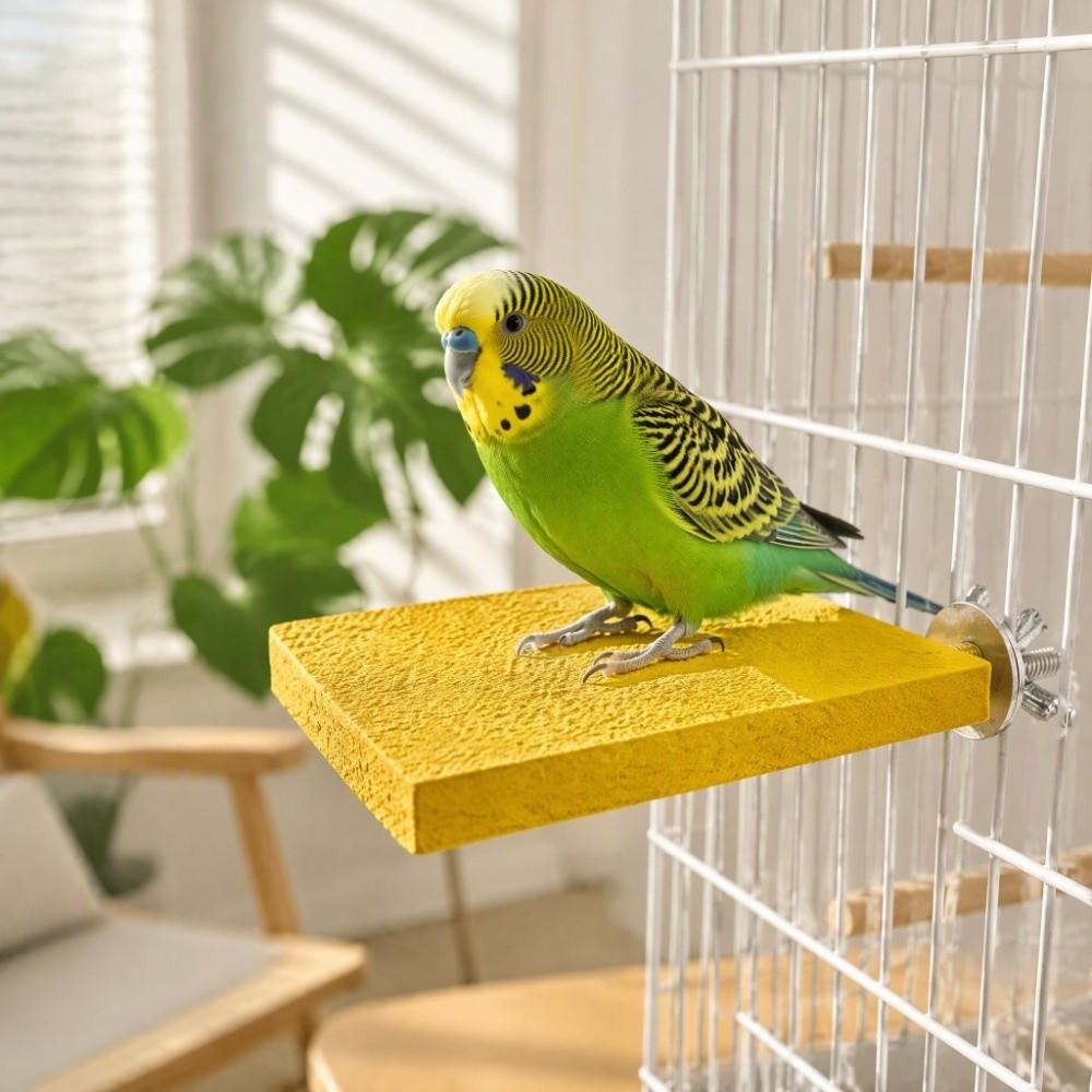 Natural Wood Material Grinding Toy Platform Paw Grinding Playground For Hamster