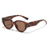 Unique Cat-Eye Sunglasses Retro Oval Sunglasses