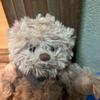 [USED] Bukowski Teddy Bear Stuffed Animal