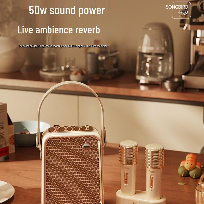 Divoom SongBird-HQ2 Draagbare KTV Bluetooth Luidspreker Set CN stekker (adapter meegeleverd) (CN-versie)