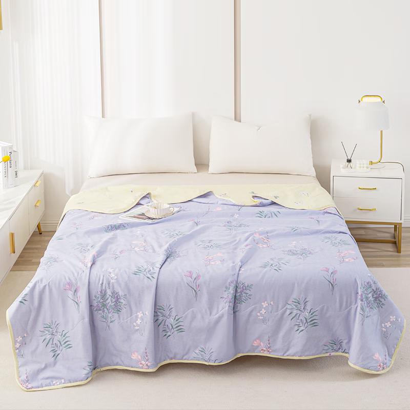 

Soft Brushed Microfiber Washable Summer Quilt