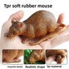 Cat Teething Toy Mouse With Durable Plastic Material For Biting And Selfplay
