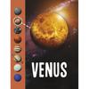 Venus: How to Catch your Dream Creative Job