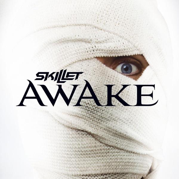 

CD SKILLET - Awake 5199272 Atlantic 2009 Japan Rock Used
