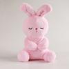 Rabbit Toy Plush Luminescence Music Fill Doll Baby Reassure Doll Cartoon Animals