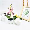 Phalaenopsis Potted Simulated Artificial Artificial Flower Ornament Desktop