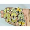 136Cts. Natural Bumble Bee Jasper Pair Mix Cabochon Loose Gemstone 9Pair Lot C-109