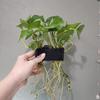 1/2/3Pcs Aquarium Plant Support Basket Plant Cultivation Rack With Integrated Hook Decor Rack Fish Tank Potted Aquarium Shelf
