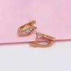Exquisite Russian Purple Gold Single-Row Earrings Classic Gold Diamond Earrings Rose Gold Plated Zircon Earrings