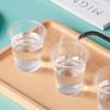 ZISIZ Disposable Transparent Plastic Cup