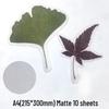Self-Adhesive Cold Laminating Film - 6 Inch, A4, A6 for Photos, Bookmarks, and Leaf Specimens