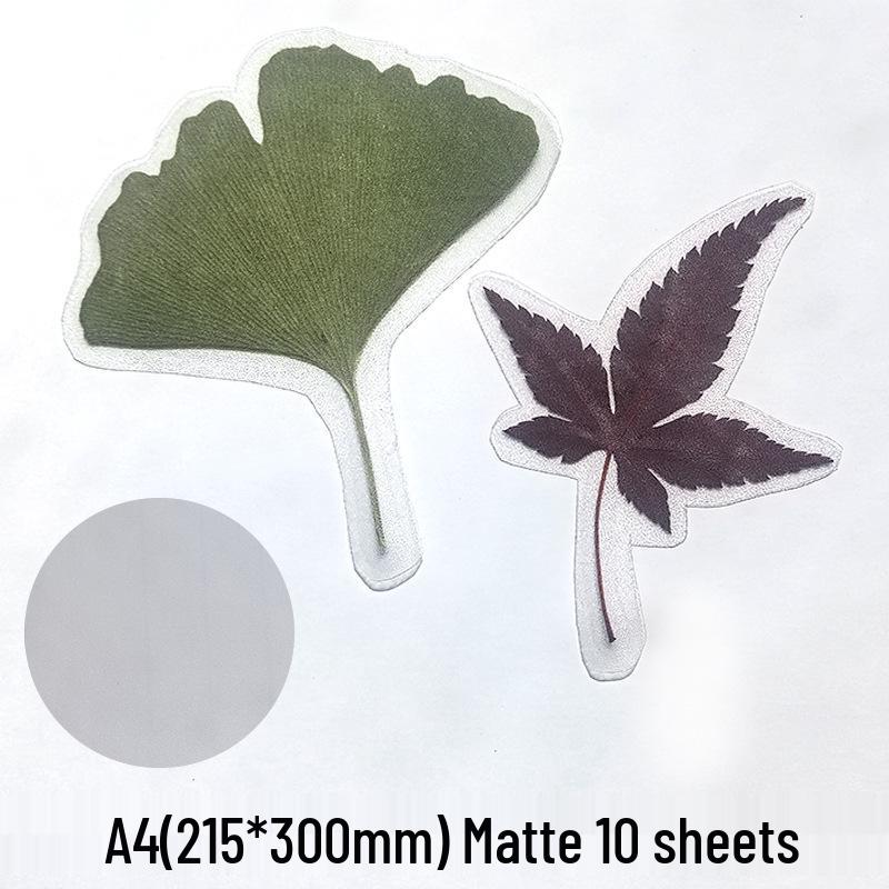 Self-Adhesive Cold Laminating Film - 6 Inch, A4, A6 for Photos, Bookmarks, and Leaf Specimens