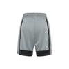 Air Jordan Dri-FIT Basketball Shorts Grey Men's CT4764-084
