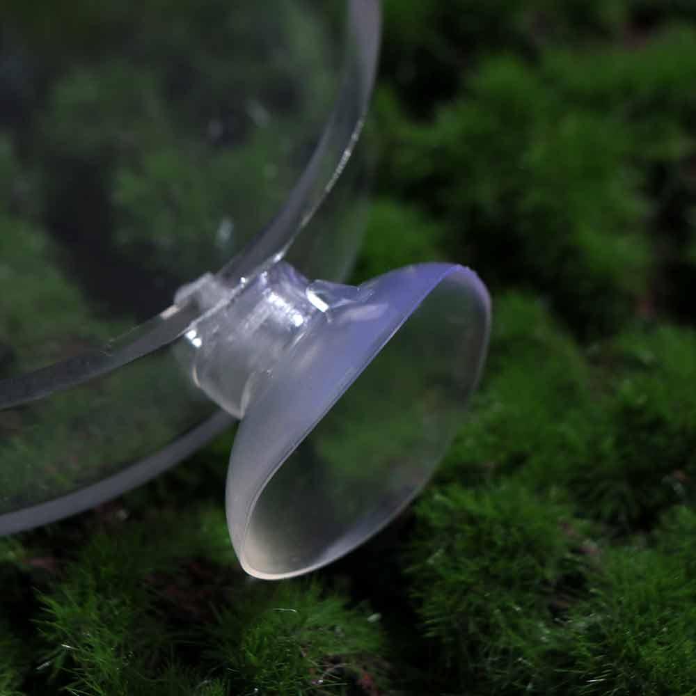 Accessories Durable Transparent Fish Feeding Dish Fish Feeding Bowl Shrimp Feeder Shrimp Food Box