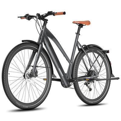 Electric Bike FAFREES 250W Motor 10AH City Electric Bicycle Max Range 100Km Loda 150KG F700W