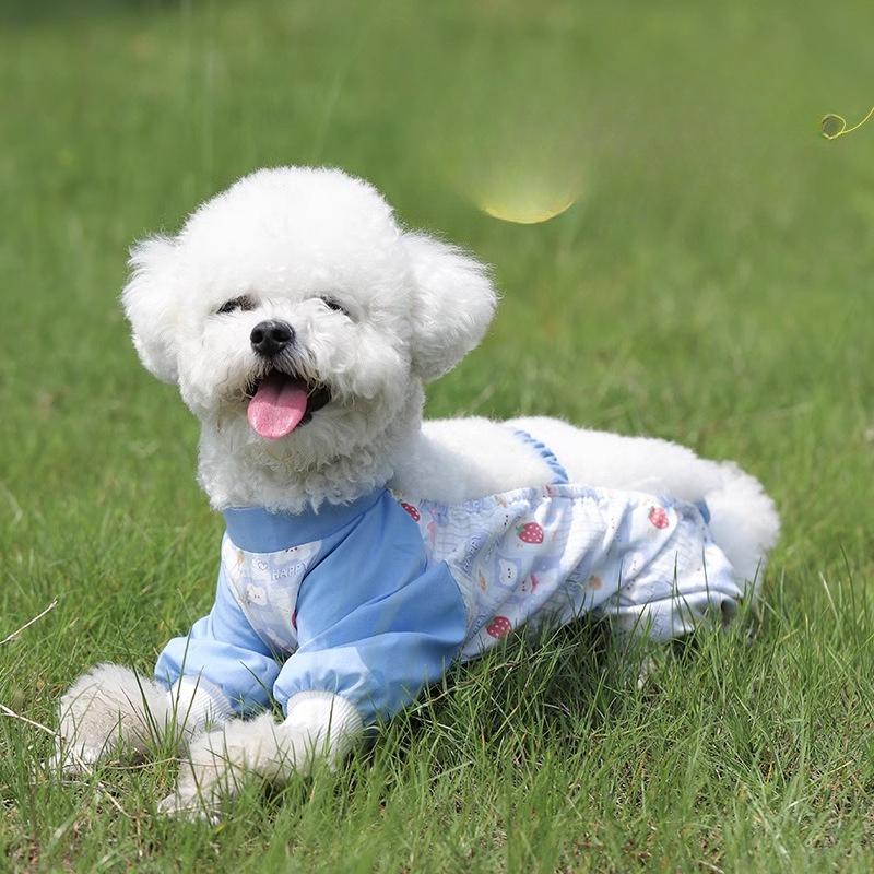 Dog Dust Pants Waterproof Four-Legged Clothes for Small Dogs Pomeranian Outdoor Raincoat Anti-Shedding Leg Cover Pet Clothes