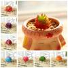 2pcs Realistic Artificial Succulent Plants Mini Simulated Floral Plants  Garden