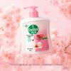 Dettol Moisturizing Antibacterial Hand Wash, Floral, 2x450g