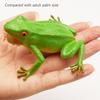 Spoof Toy Simulation Frog Model Animal Toy Toad Tricky Scary Squeeze Sound Frog Toys For Kids Hobby Collection Toys