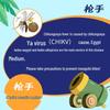 Raid Electric Mosquito Repellent Liquid