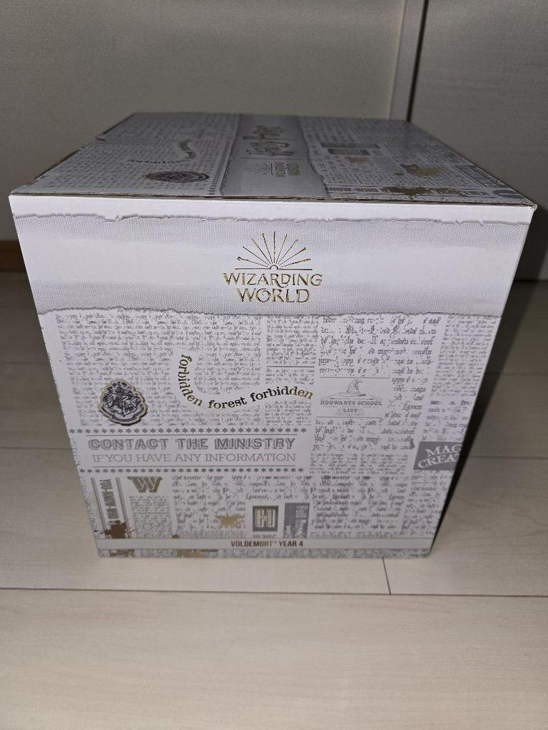 [USED] Special Price Voldemort Figure