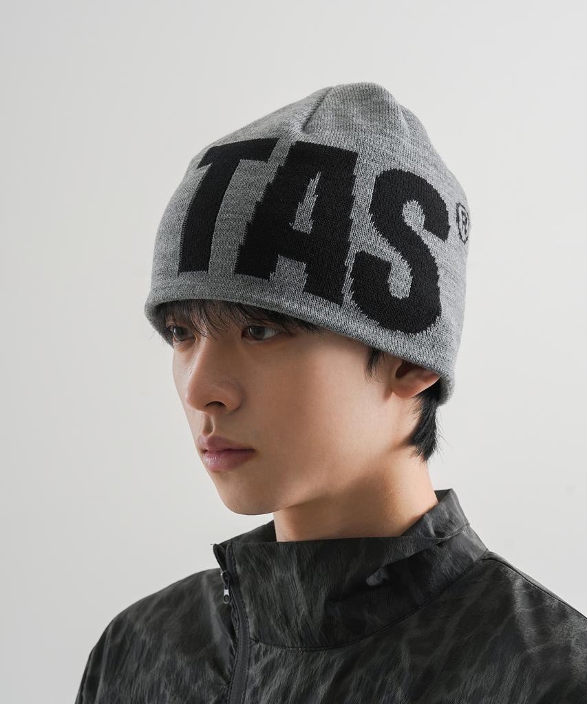 Diadeosaengchyueoli Tas Zakhar Logo Beanie (Gray)