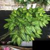 12PCS Green Plants Artificial Banyan Leaf Branch Plastic Tree Rattan Landscaping Accessories Wedding Garden Home Christmas Decor