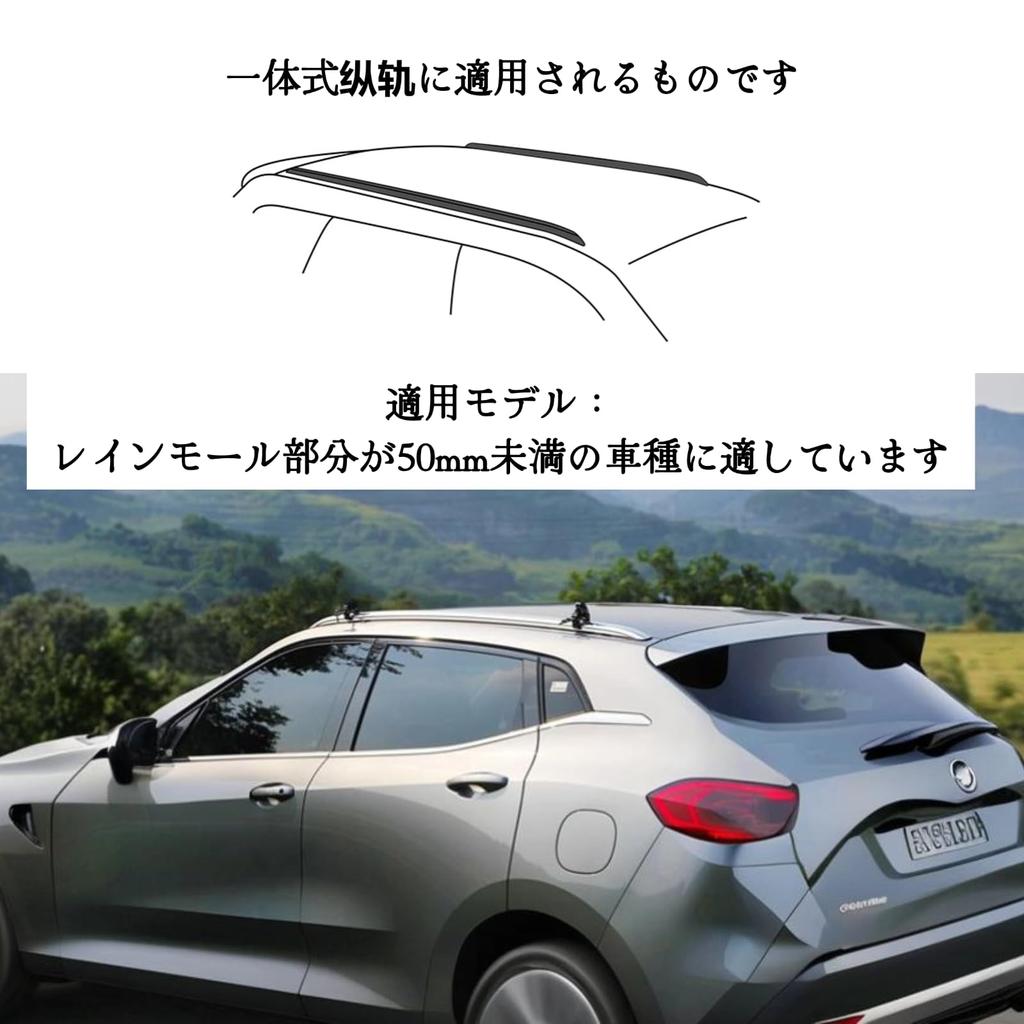 SeavyCaptain Car Joints, Car Tarp Hook Fixing, Roof Rail, Lightweight, Easy Assembly and Disassembly,