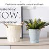 Vintage White Metal Planter Pot with Rope Handles 21cm Tall Drainage Hole Retro Style Flower Pot