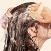 Hair Care Tool Hair Washing Comb Wall Mounted Scalp Massage Brush  Bath SPA