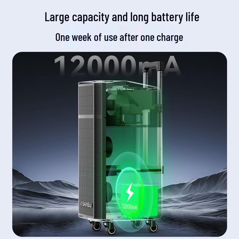 Sanshui G26 Portable Outdoor PA Speaker with Wireless Mic