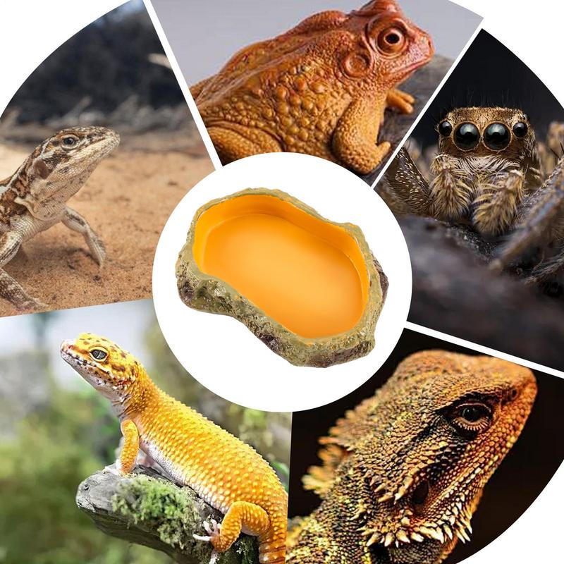 Reptil Vattenskål Reptil Terrarium Orm Vattenbassäng Skål Orm Matningsstation Reptil Terrarium Skålar Dekoration För Tank Bricka