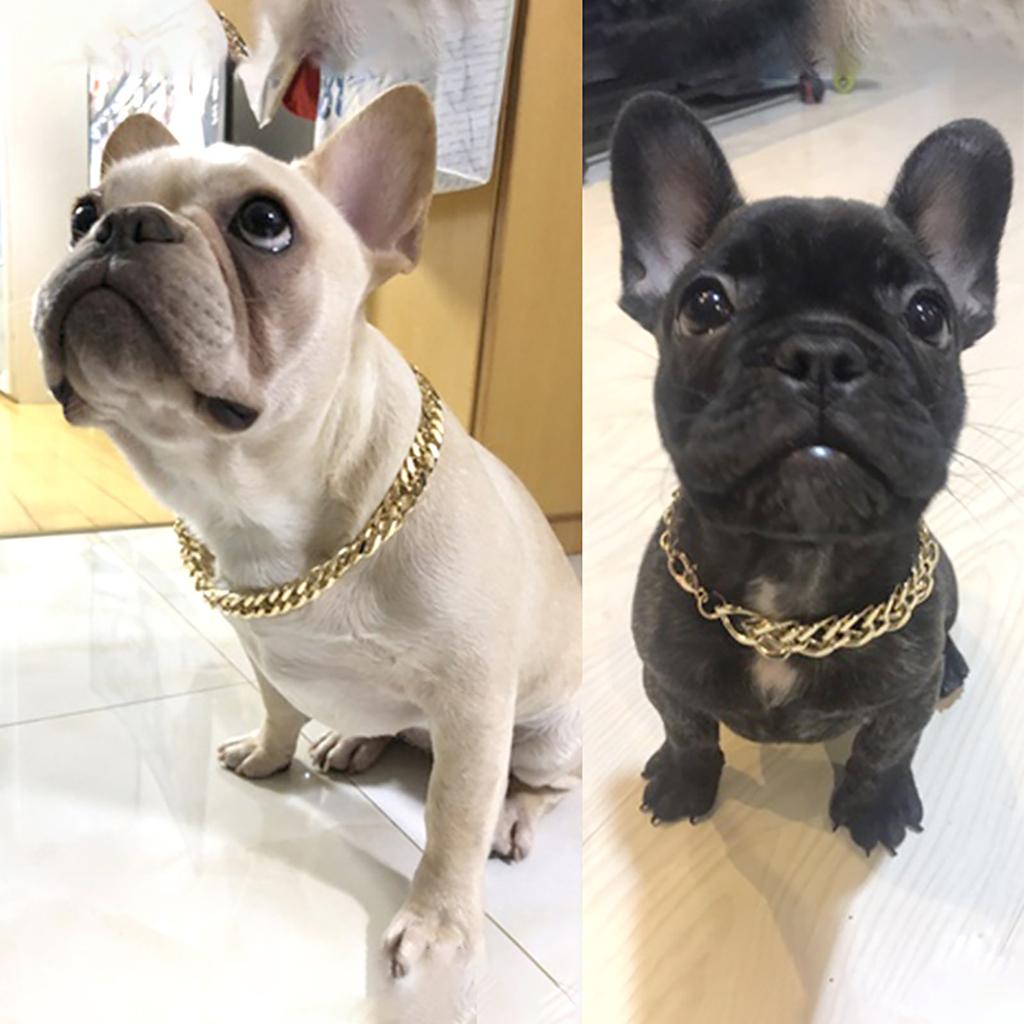 Teddy Bargo French Dog - Gold Chain Small And Medium Dog Collar Pet Necklace Jewelry Accessories