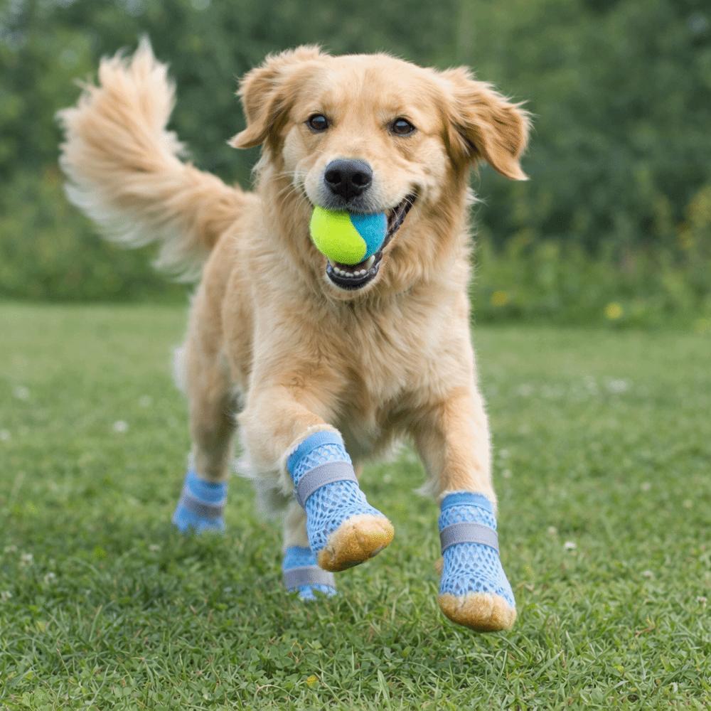 Breathable Anti Slip Dog Shoes Adjustable Pet Paw Protector Dog Mesh Shoes Walking Outdoor