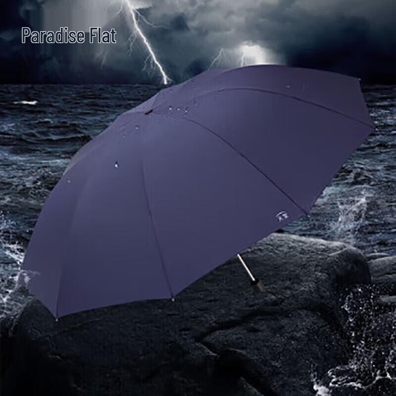 Paradise Umbrella Городской Защитник 10-реберный Автоматический Деловой Зонт