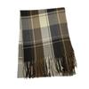 Imitation Cashmere Plaid Scarf - Women's Korean Style Autumn Winter Shawl with Tassels