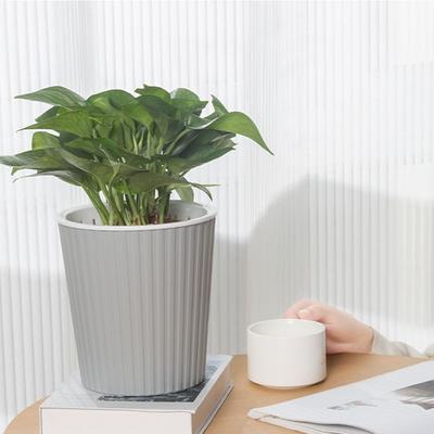 Vasos e caixas para jardim – Recipientes para mudas
