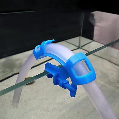 Ryby a morské živočíchy – Údržba akvária