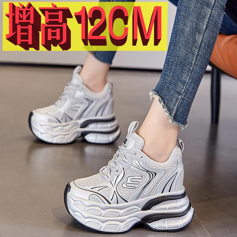 Thick-soled inner height increase 12CM dad shoes women's autumn new mesh breathable casual shoes small sports shoes