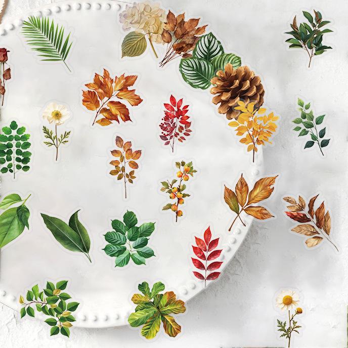 50Pcs Plant Leaves Graffiti Stickers Aesthetic DIY Luggage Bike Phone Computer New Year Gift Decoration PET Sticker