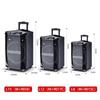 Malata L8 Outdoor Portable Bluetooth Karaoke Speaker (CN Version)