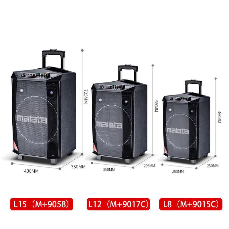 Malata L8 Outdoor Portable Bluetooth Karaoke Speaker (CN Version)