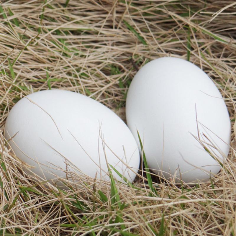 Wooden Simulated Chicken and Duck Eggs for Kids' DIY Hand-Painted Easter Toys