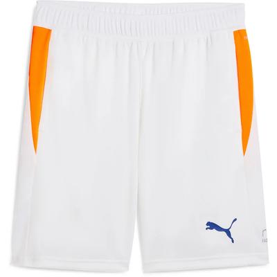 Puma Shorts Individual Training