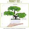 Artificial Bonsai Plastic Bionic Plant Indoor Small Simulation Plant Decoration Garden Desk Home Office Bathroom Room Decoration